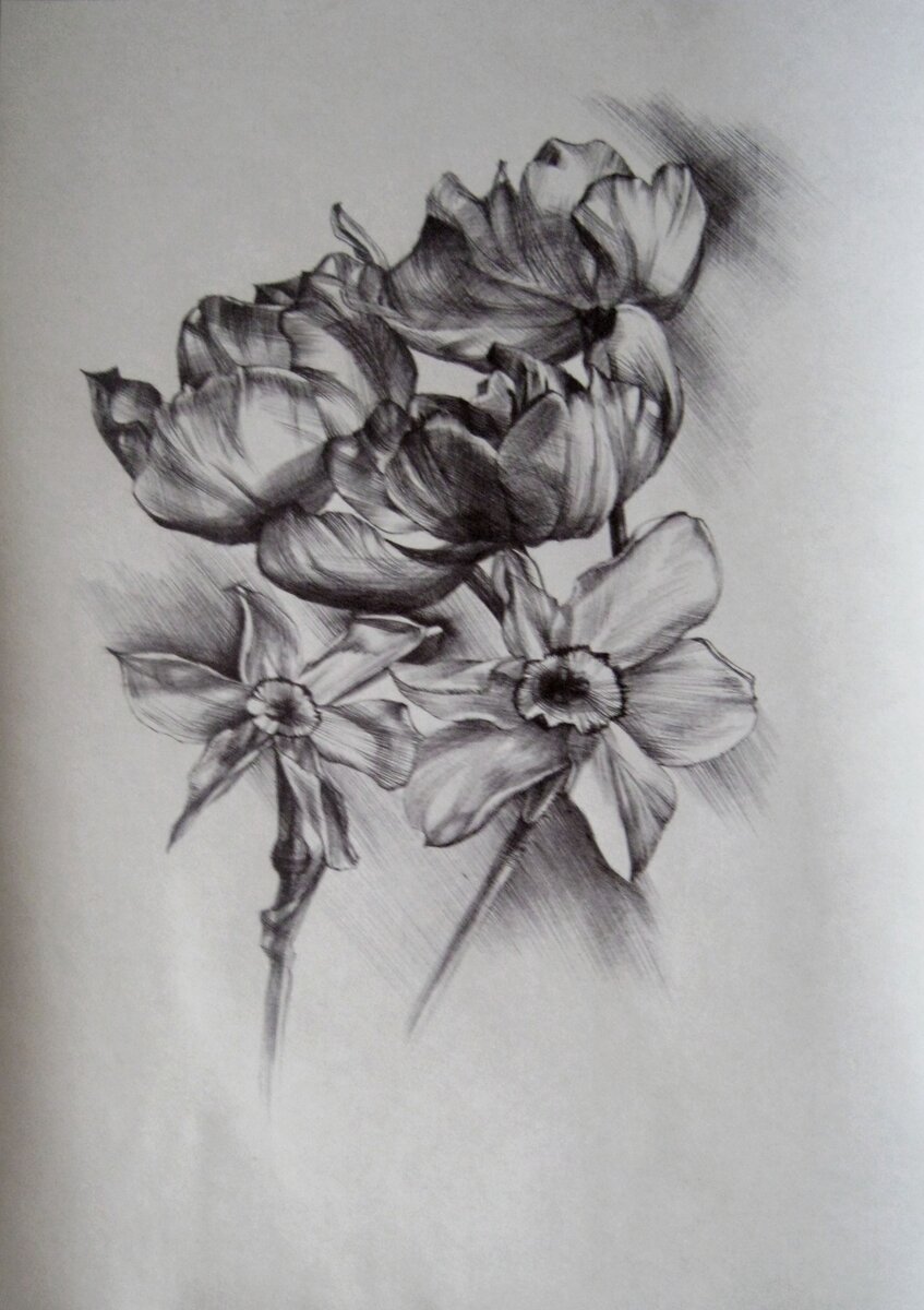 Автор рисунка ручкой на бумаге 20х30 см. и фото Платонова Елизавета.