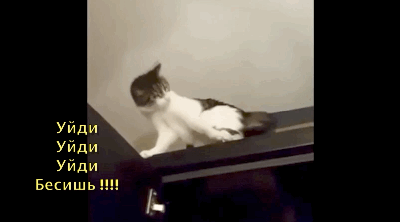 Да что же ты не отстанешь от меня????