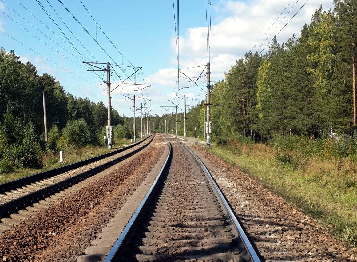 Петряевка ягодное расписание электричек