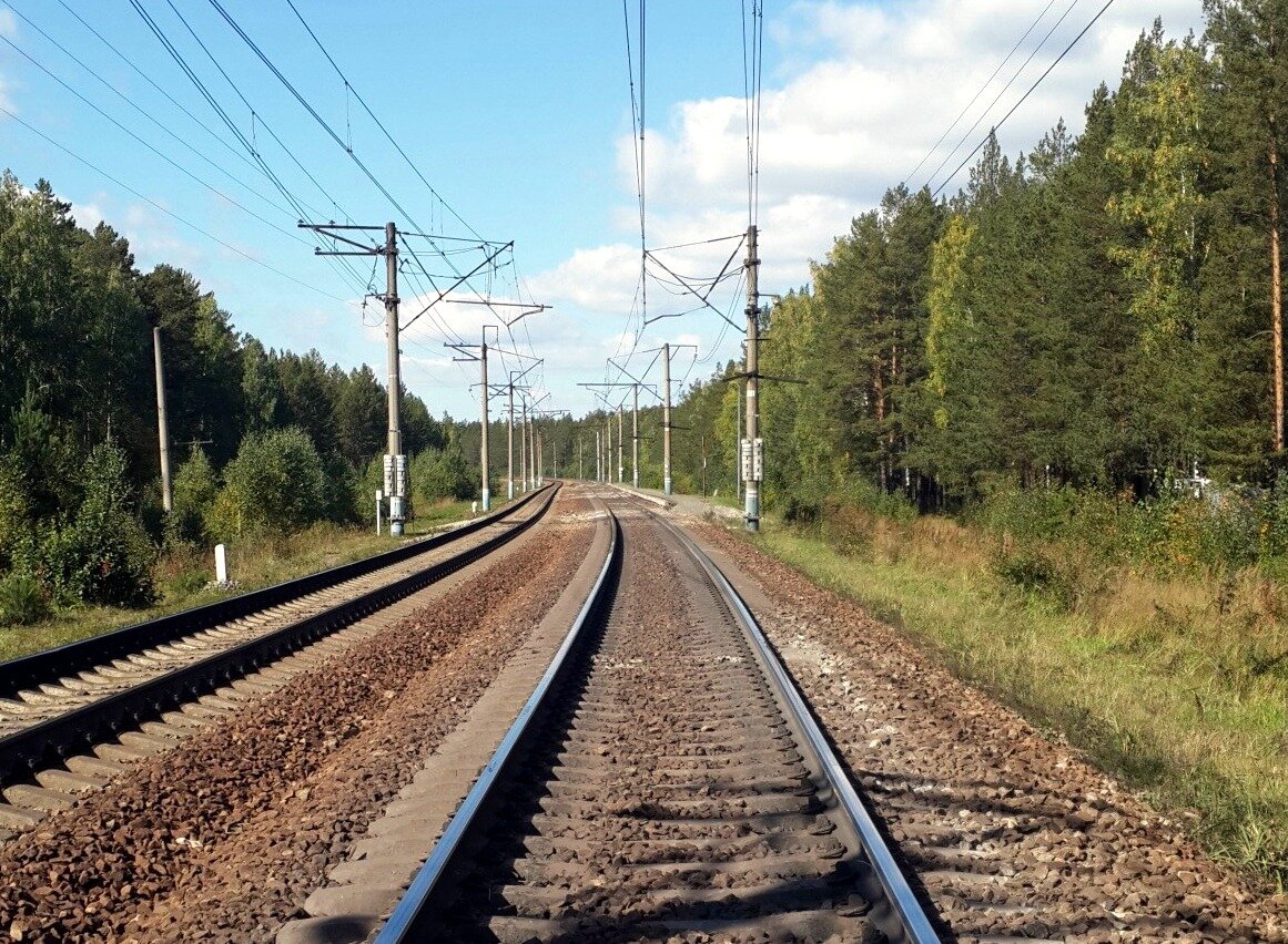 Петряевка сережа расписание