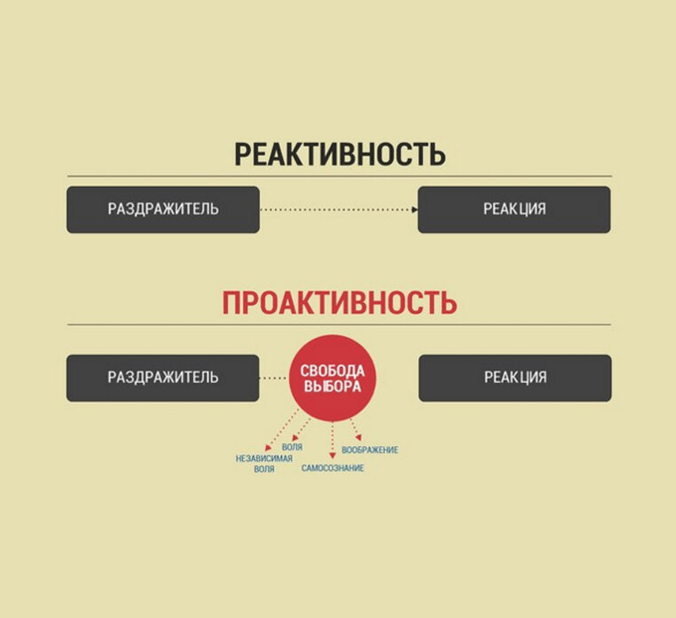Проактивное поведение. Разница реакции на раздражитель