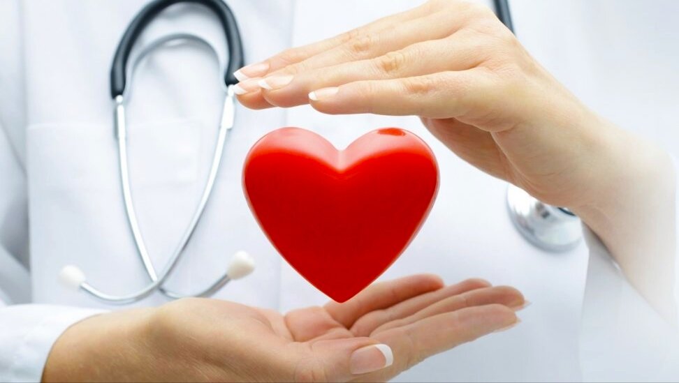Сердце - один из важнейших органов человека