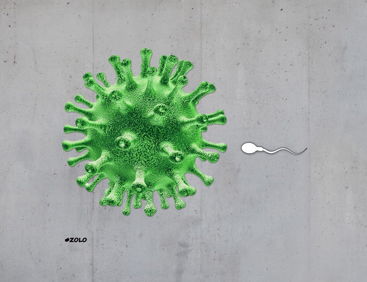 Визуализация изображения, полученного с электронного микроскопа. 