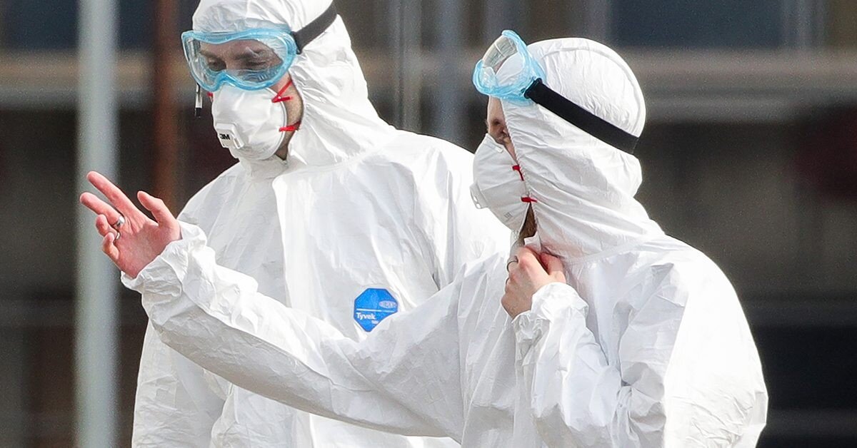 фото из свободных источников Яндекс. 