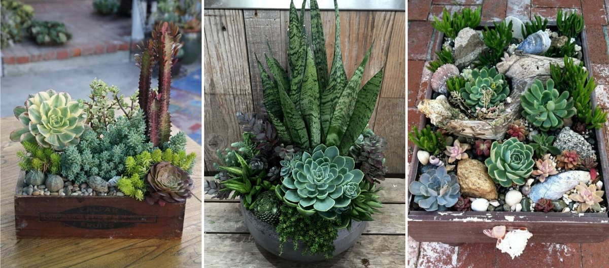 Коллаж собственного сочинения из фото с сайта Pinterest