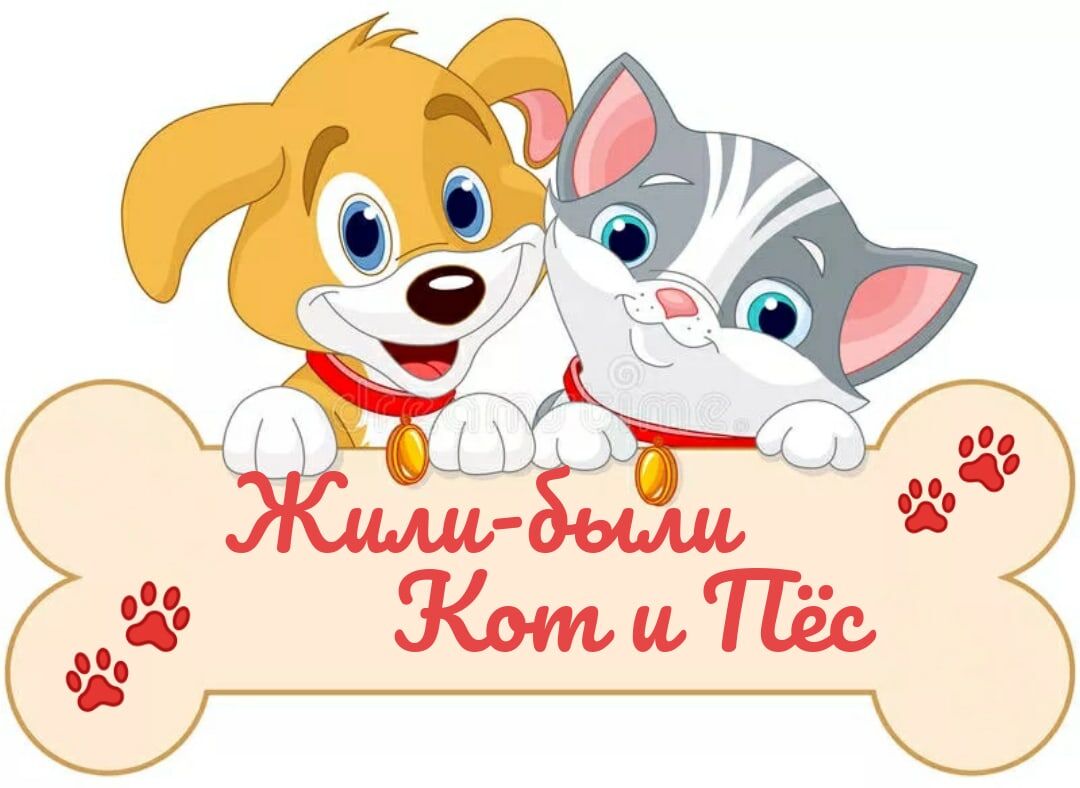https://vk.com/cat_live_dog