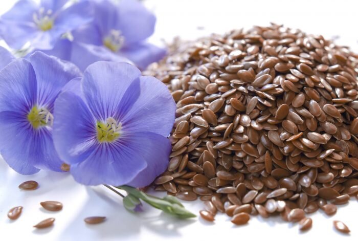 Семена льна полезны для женского здоровья