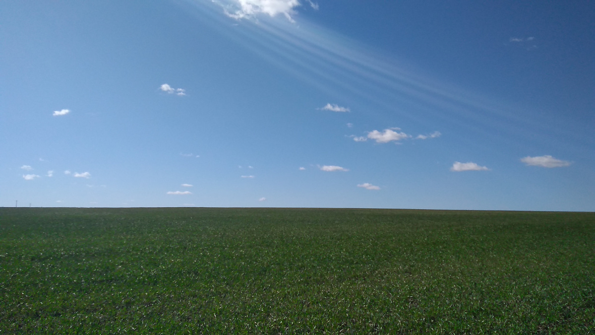 Утреннее апрельское небо над полем.