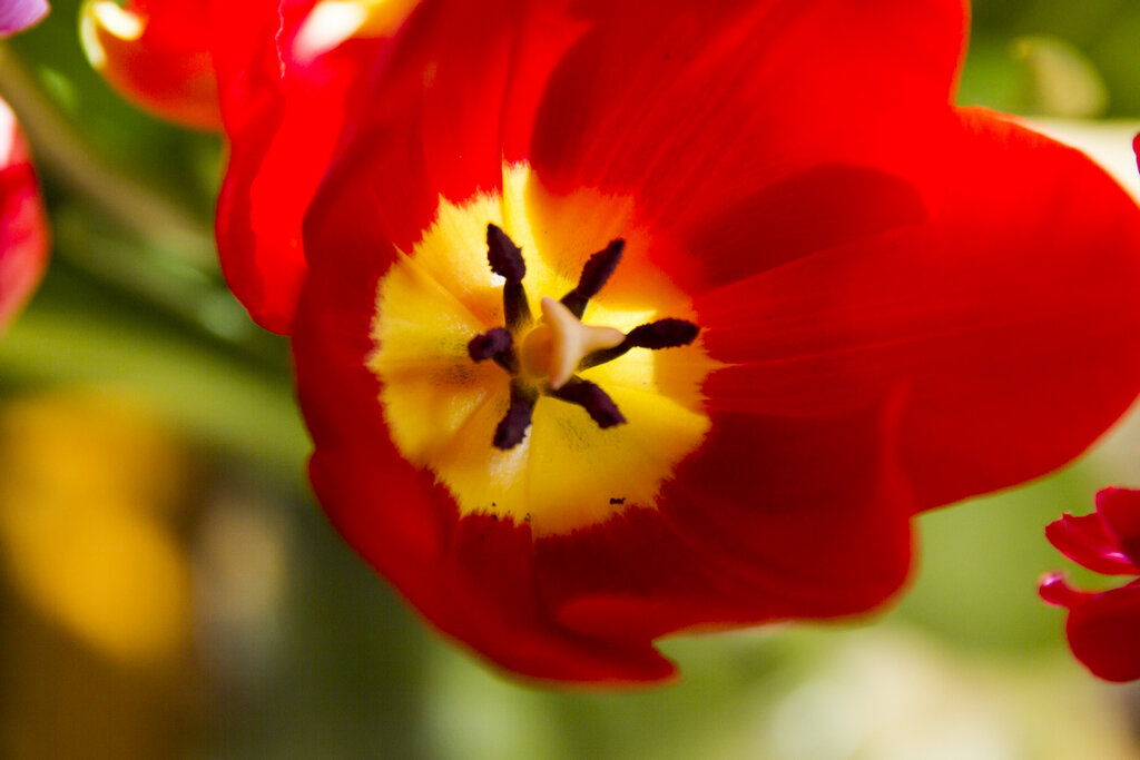  мы делим мир на две части, не понимая что всё есть одно целое.