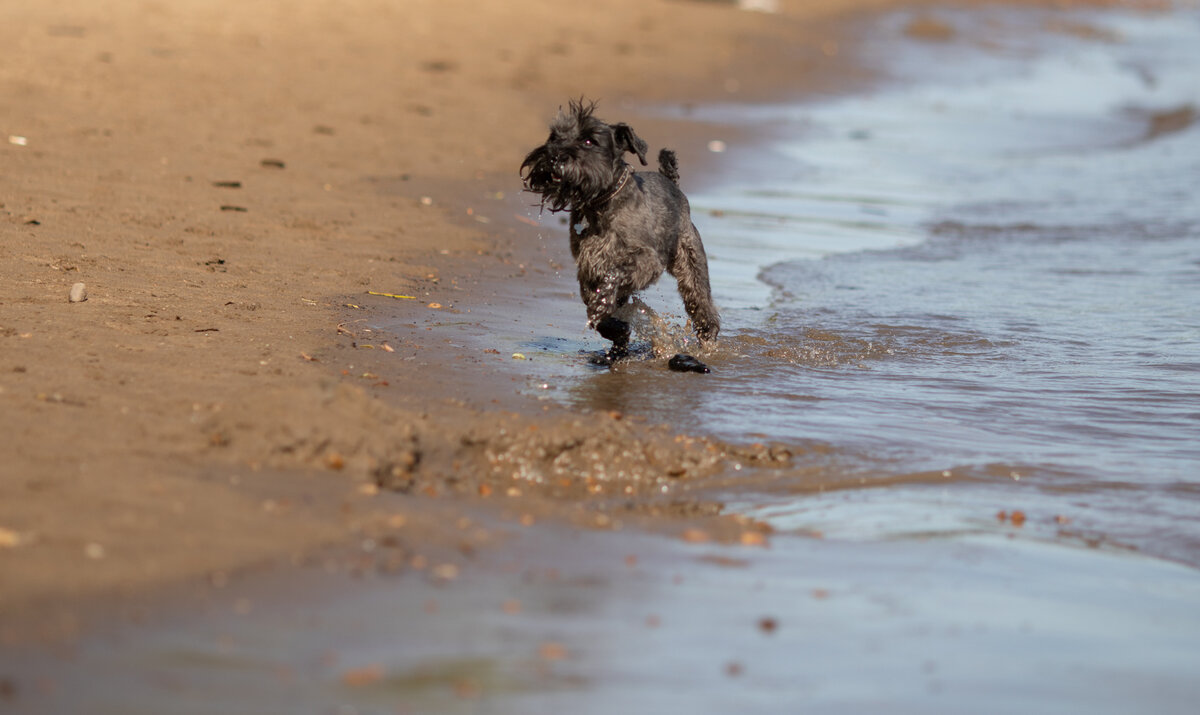 Йозеф на речке