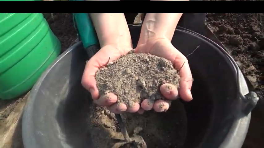 Сколько нужно удобрения для одной лунки