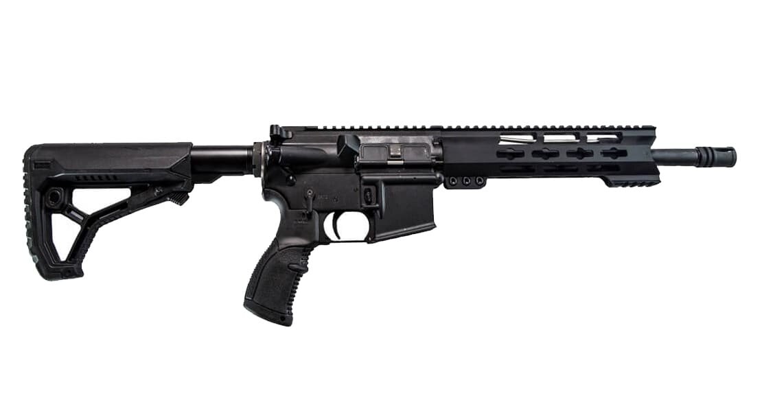 Какие ar. Форт ar-15. Ar 15 Форт 223. Форт ar-15 04. Карабин Форт ар-15-03 223rem.