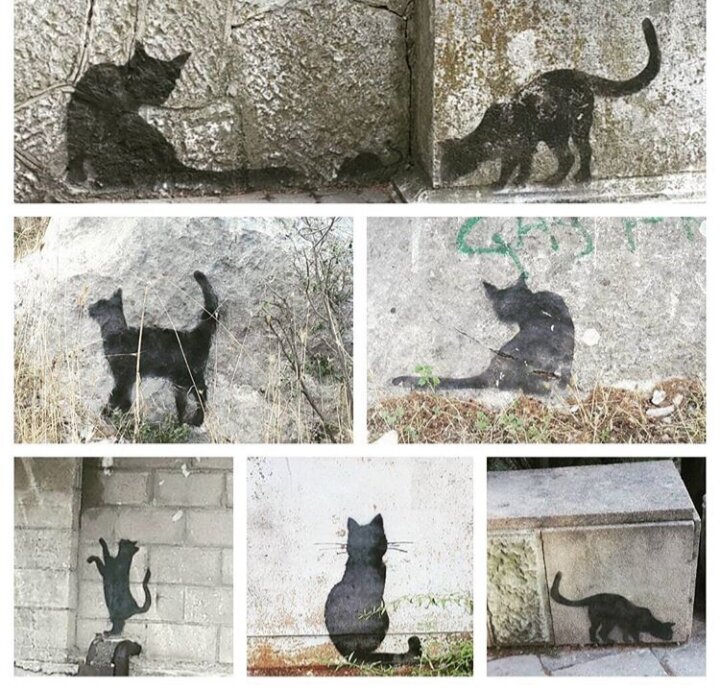 Кошечки из Симеиза, фото автора.