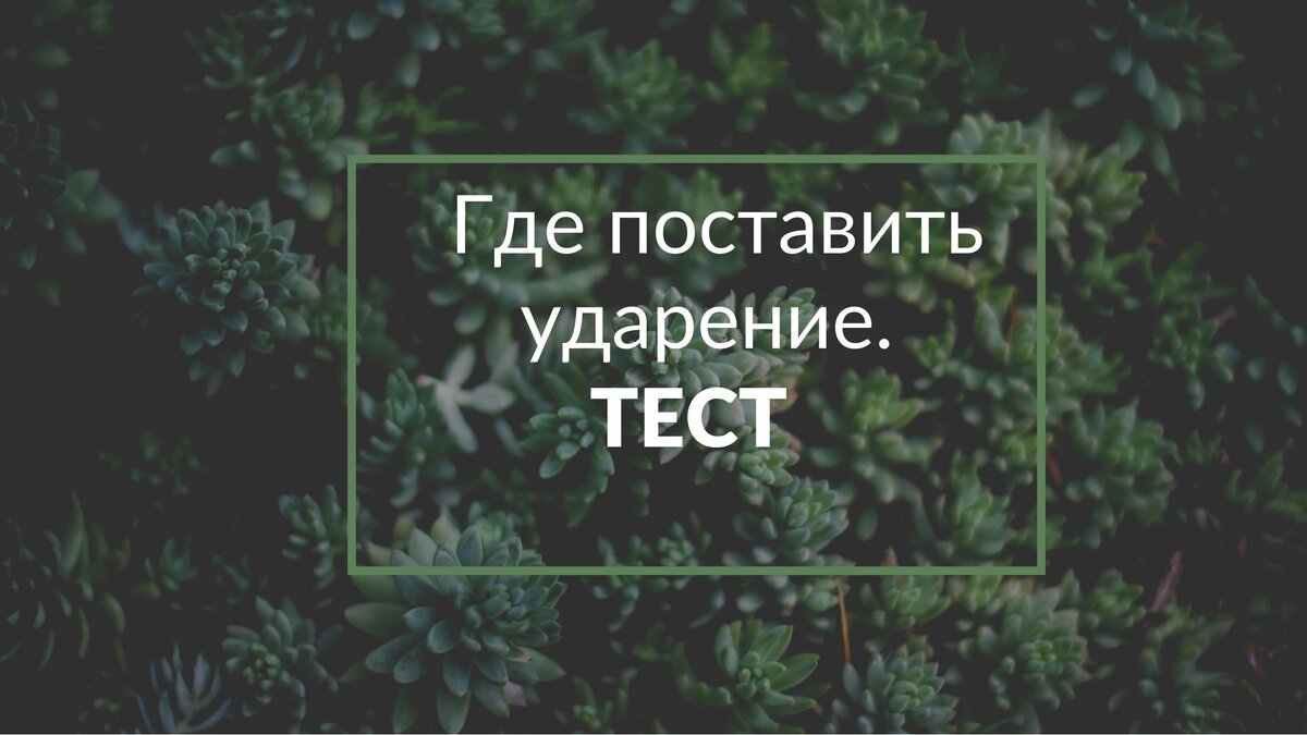 коллаж автора