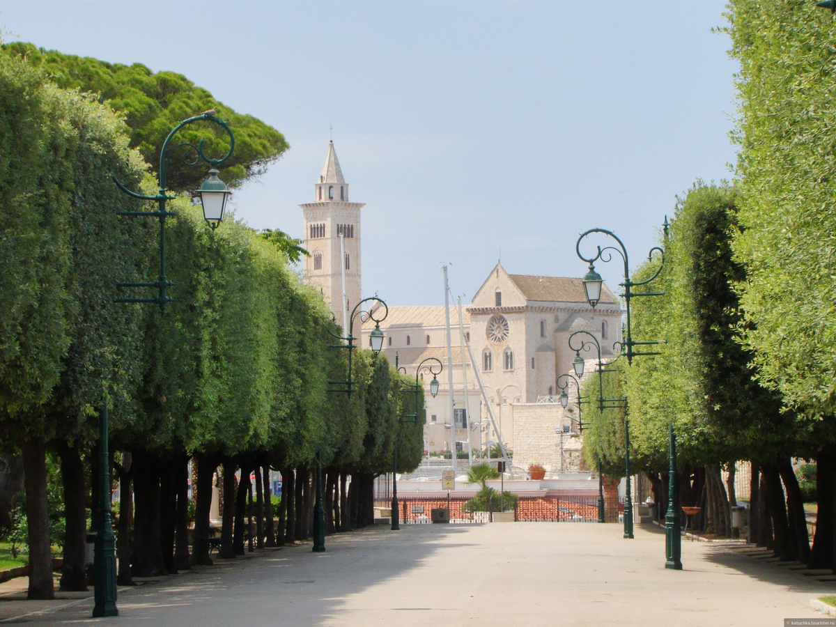 Трани. Фото из открытого источника