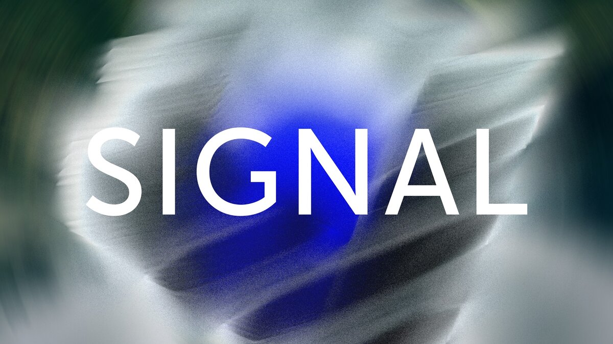 Signal 2020 | Шаурмолог | Дзен