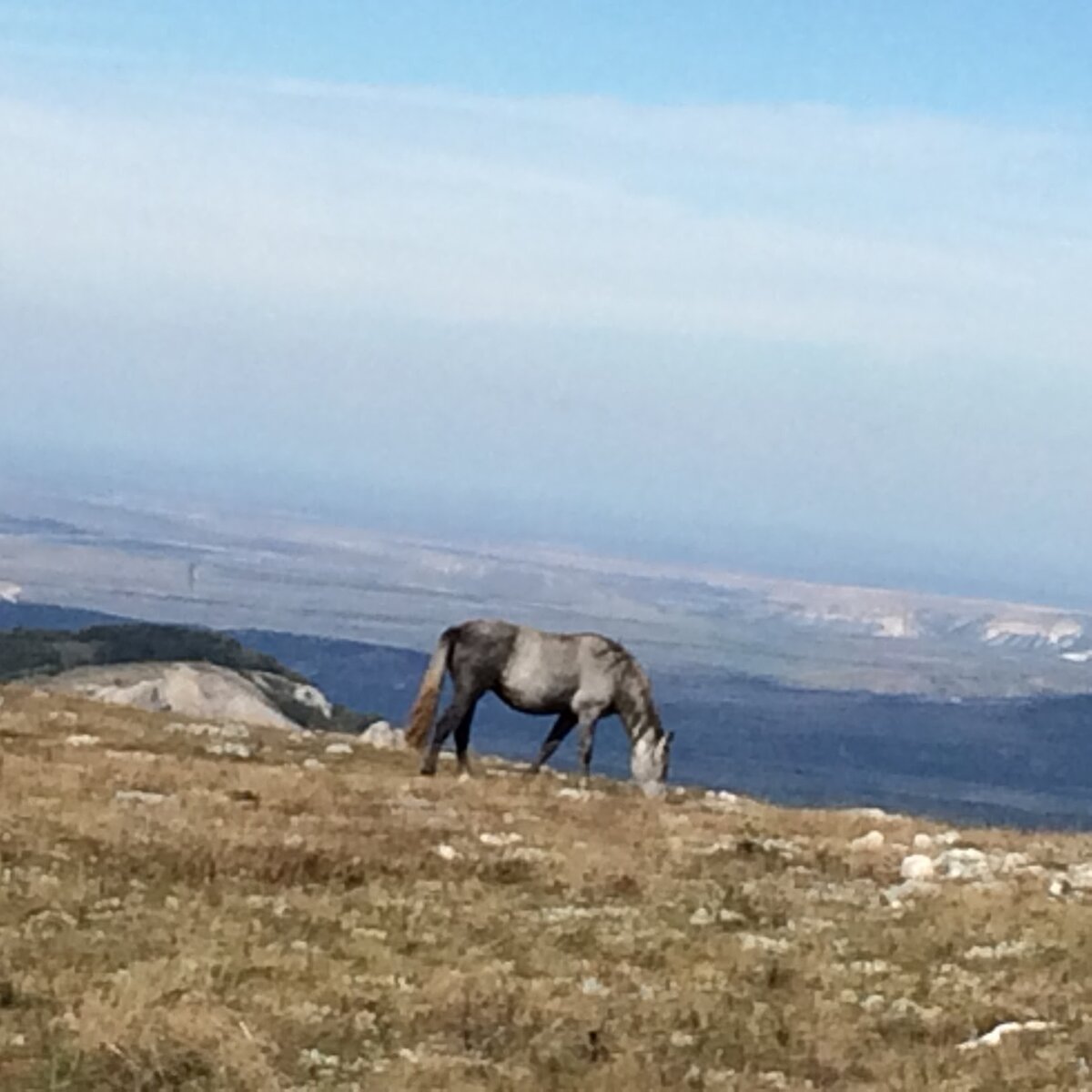 Караби Яйла. Крым.