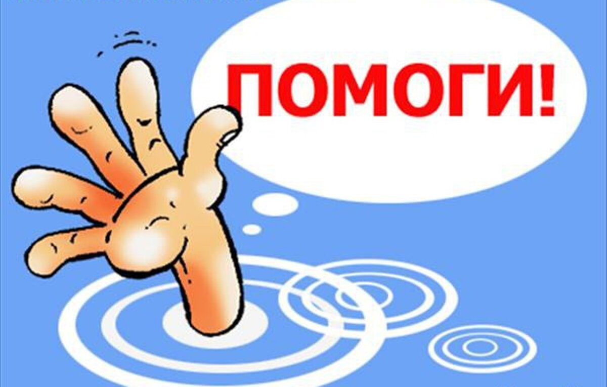фото из поиска Яндекс