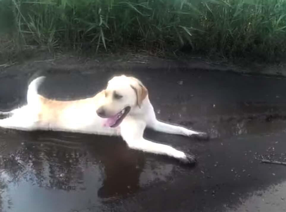 А почему нельзя?
