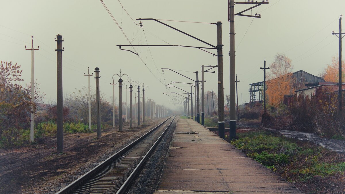 Фотография с Яндекс.Картинки