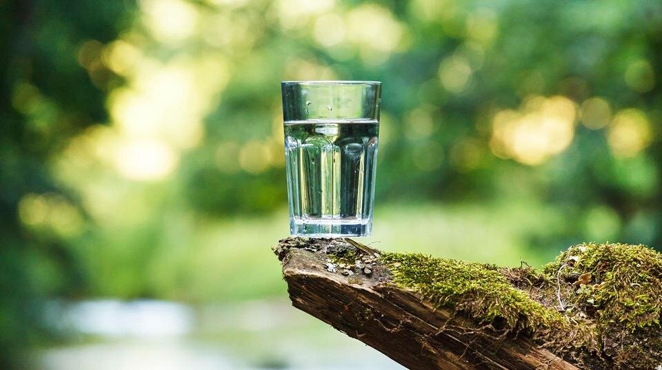 Фото из Яндекс.картинки