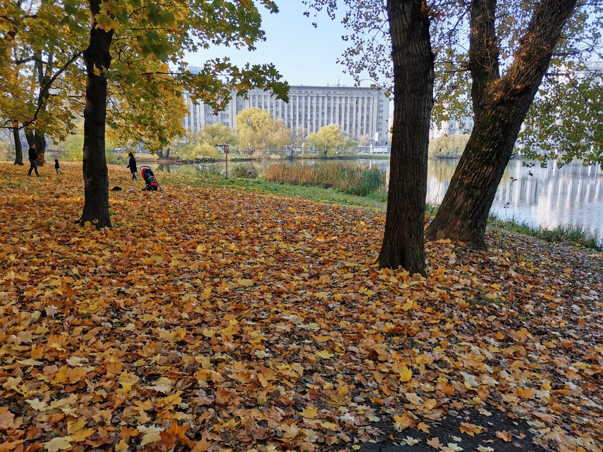 Особенно приятно бродить здесь осенью