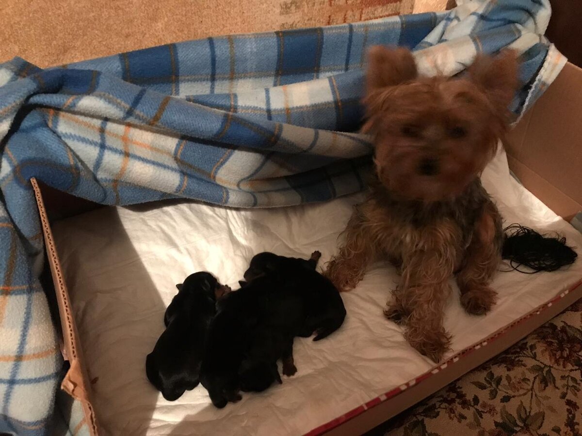 Наша малышня с Милашкой