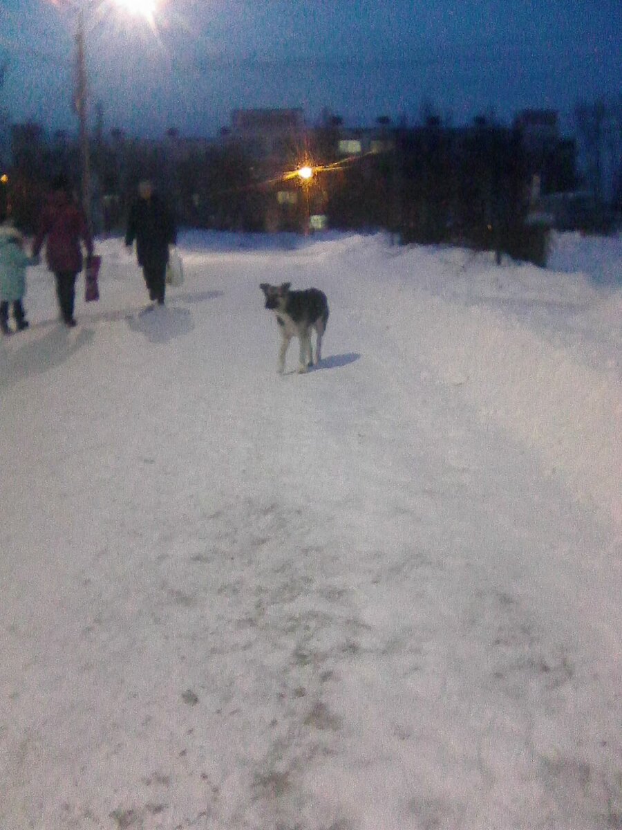 Дина, 28.01.2019 | Фото автора