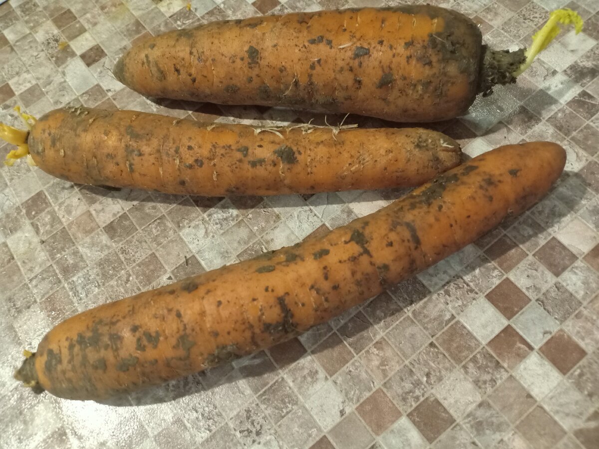 Подписывайтесь на канал, комментируйте. Так Вы помогаете его продвижению!