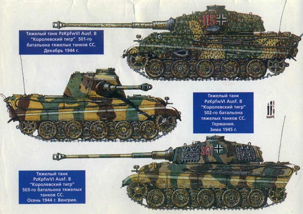 Батальоны тяжелых танков вермахта. 503 Тяжелый танковый батальон СС. 503 Танковый батальон Королевский тигр. Королевские тигры тяжелые танкового батальона 503. 503 Батальон тяжелых танков тигр камуфляж.