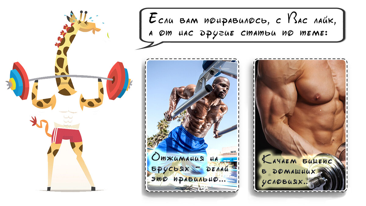 ТОП-3 упражнения для прокачки косых мышц, когда нужен мощный пресс! | FIT  FOR FUN | Дзен