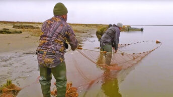 Большая рыба на Карском море