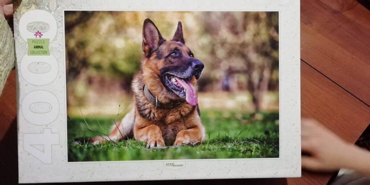 Пазлы 4 000 элементов. Цена 940 руб.