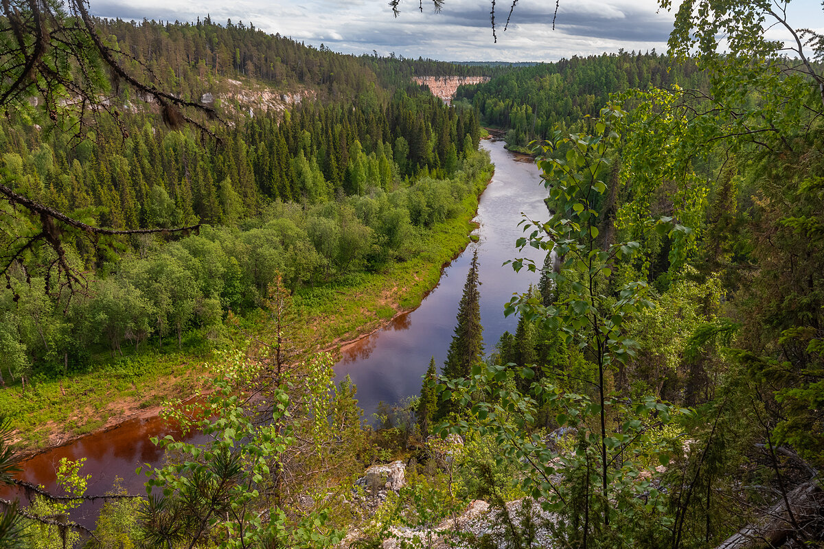 Река пинега фото