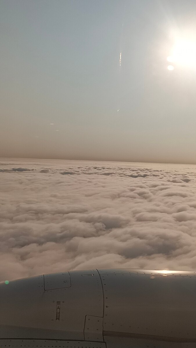 'Сладкая вата'