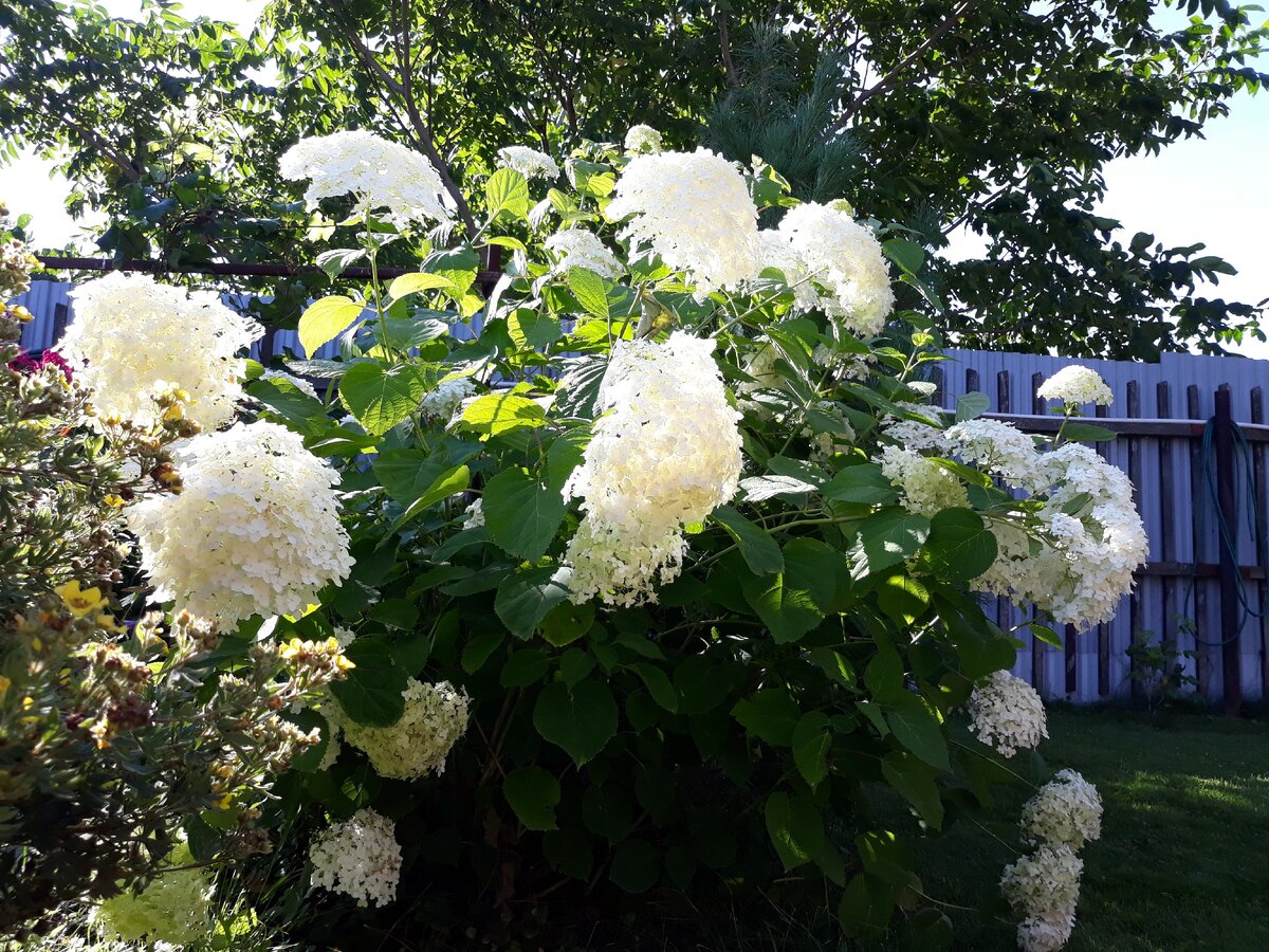 Вот во что превращается тот скелет)