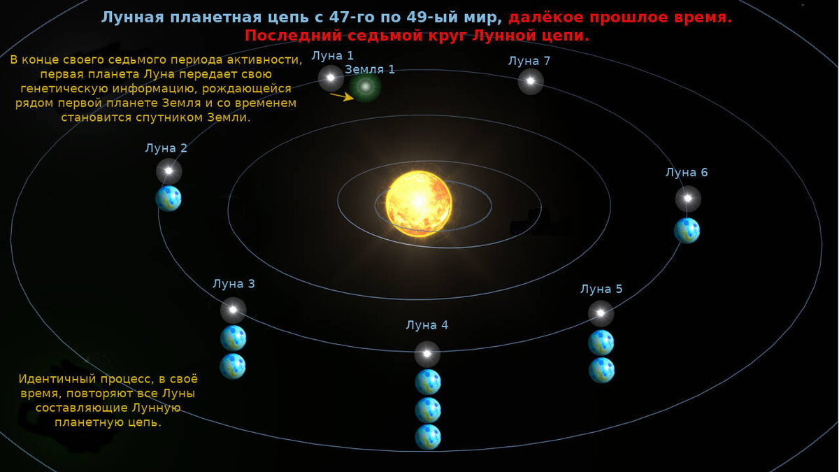 Тема № 63 «Групповые души дочеловеческих царств природы» | Азбука загадок  человечества | Дзен