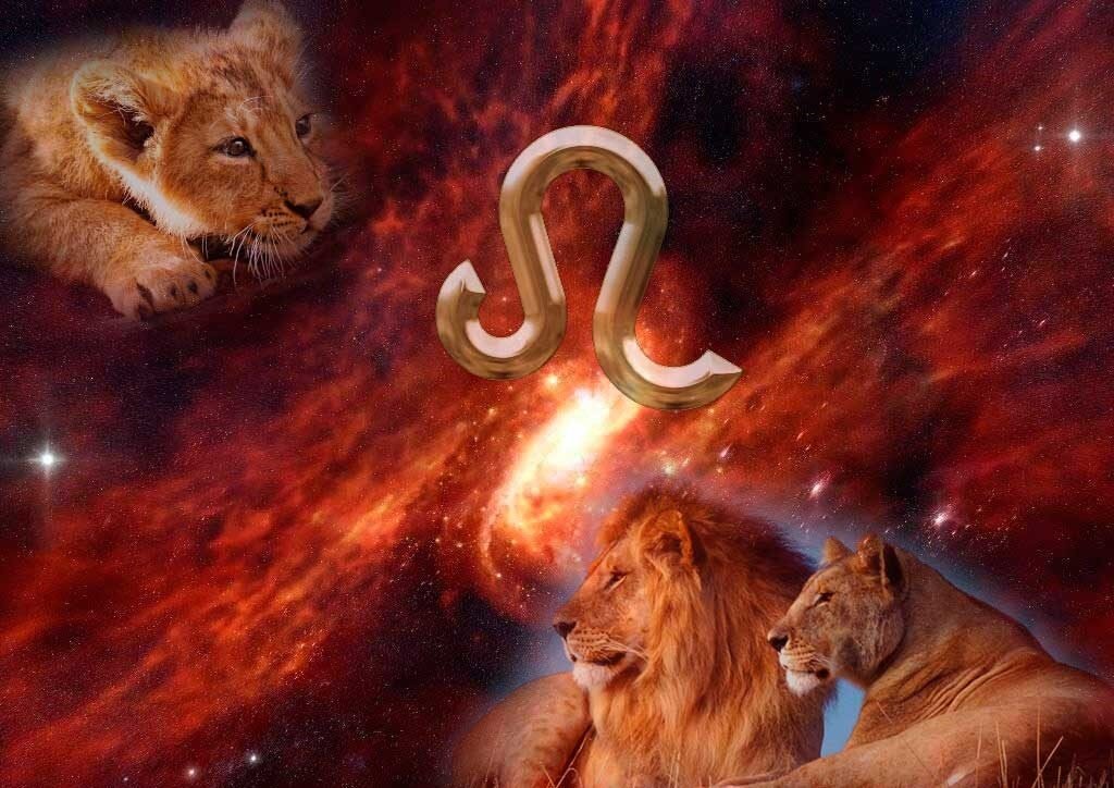 Источник фото: https://goo.su/35cd