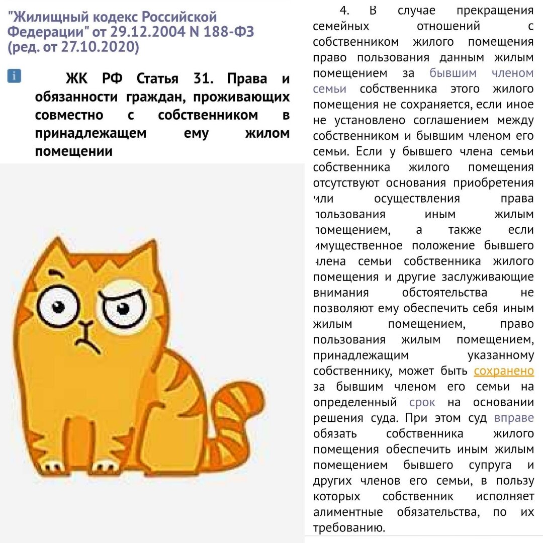 Развелась с мужем, а жить негде. Что делать? | Госпожа Юрист | Дзен