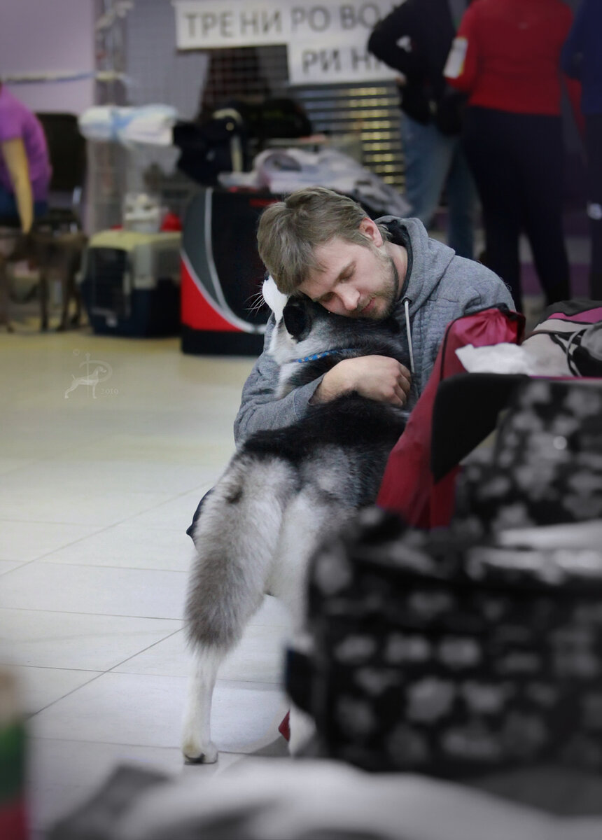 Я думаю понятно, что место собаки не около плинтуса. 