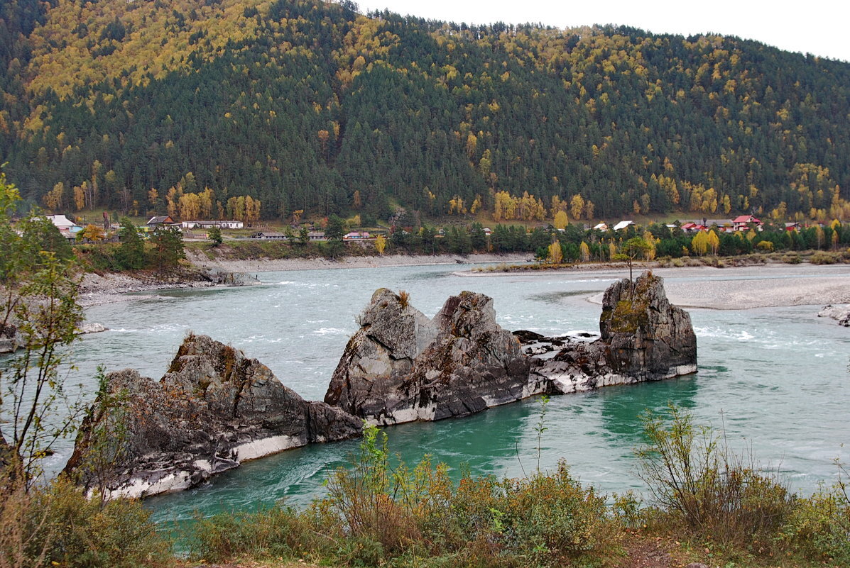 Элекмонар Алтай Патмос