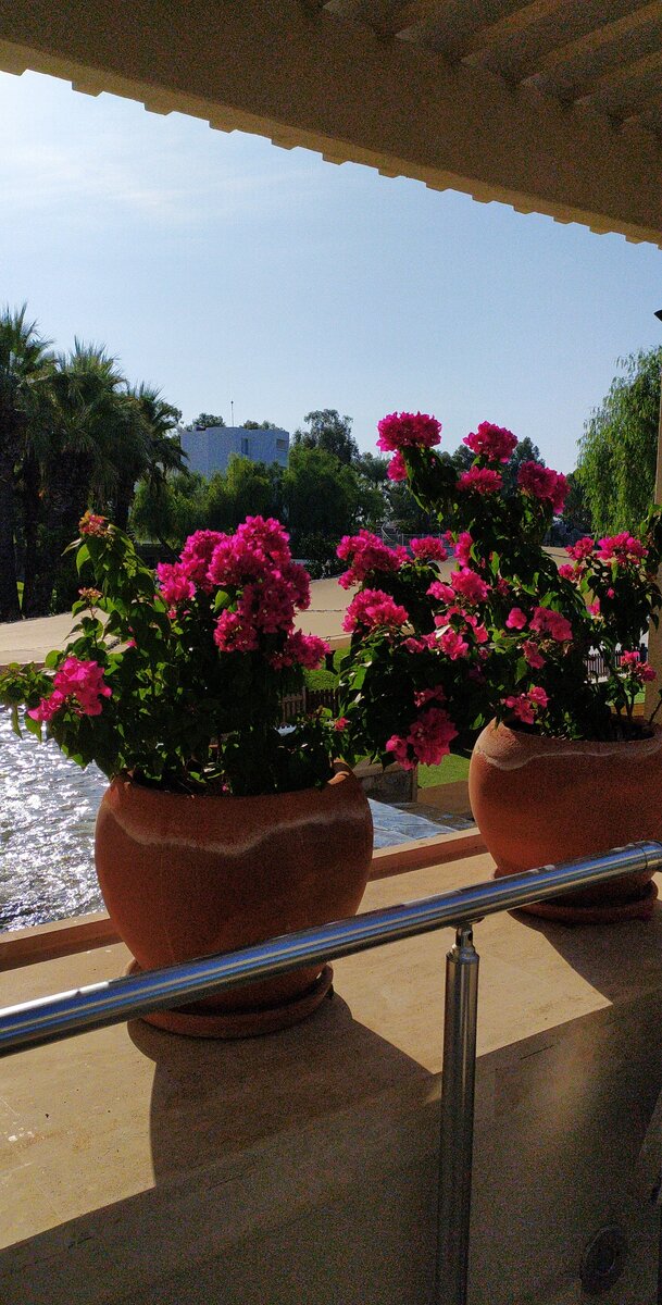 Турция 2020,фото автора статьи. 