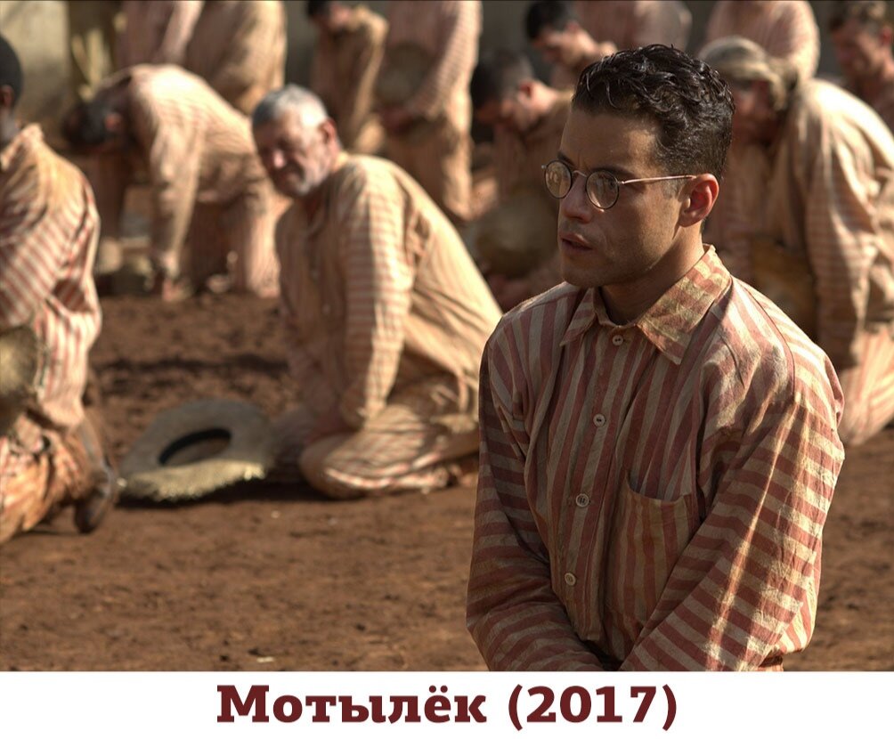 Фото взято из открытых источников 