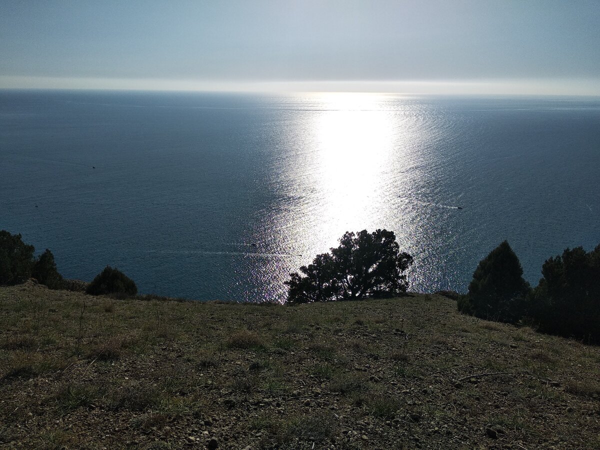 По фото и не скажешь, что на дворе зима.