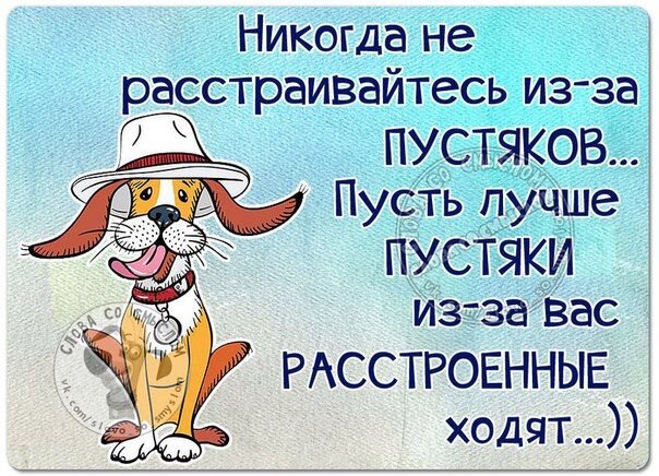 Жизнь любит не тех кто ноет по пустякам а тех кто по пустякам радуется картинки