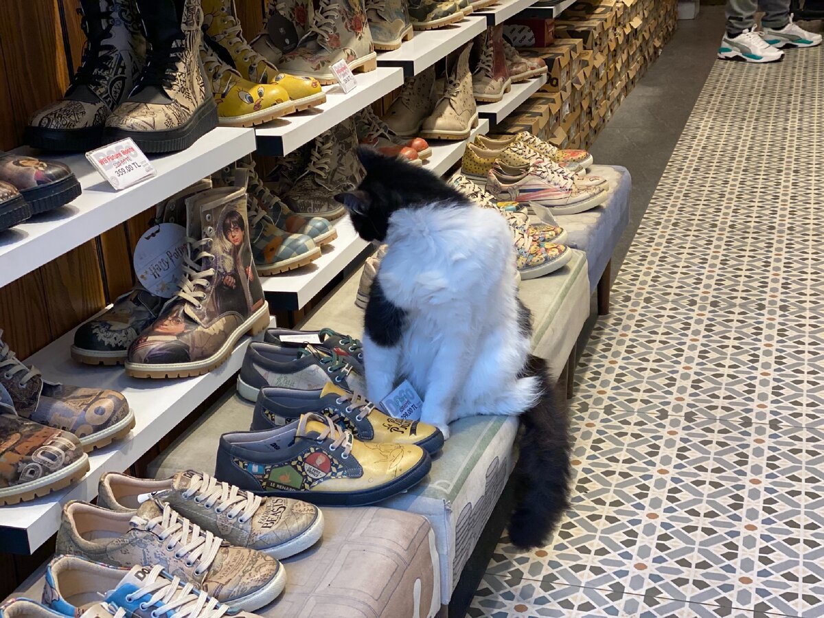 Купила в этом магазине невероятно удобные ботинки ручной работы за 3500 ₽.