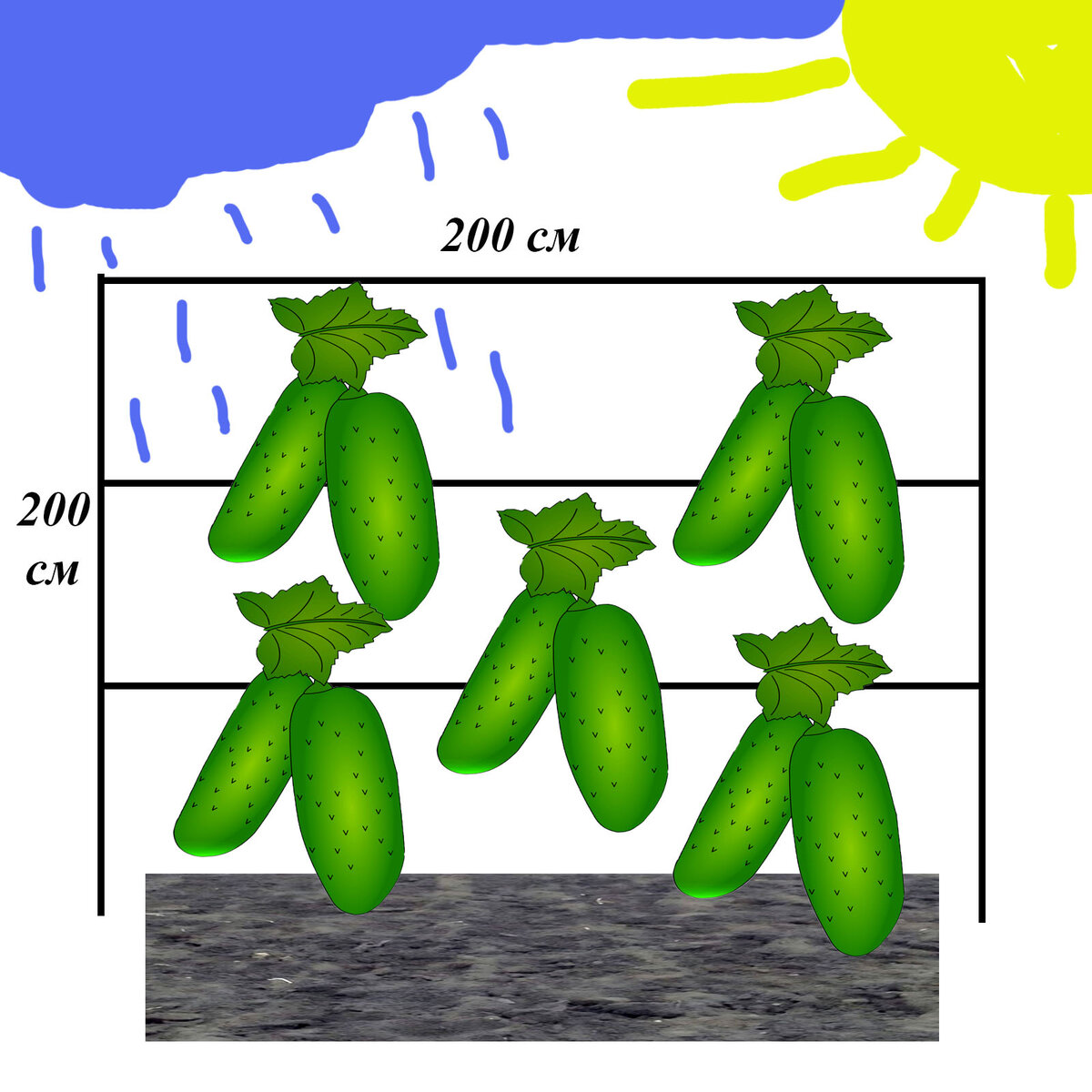 Идеальная шпалера