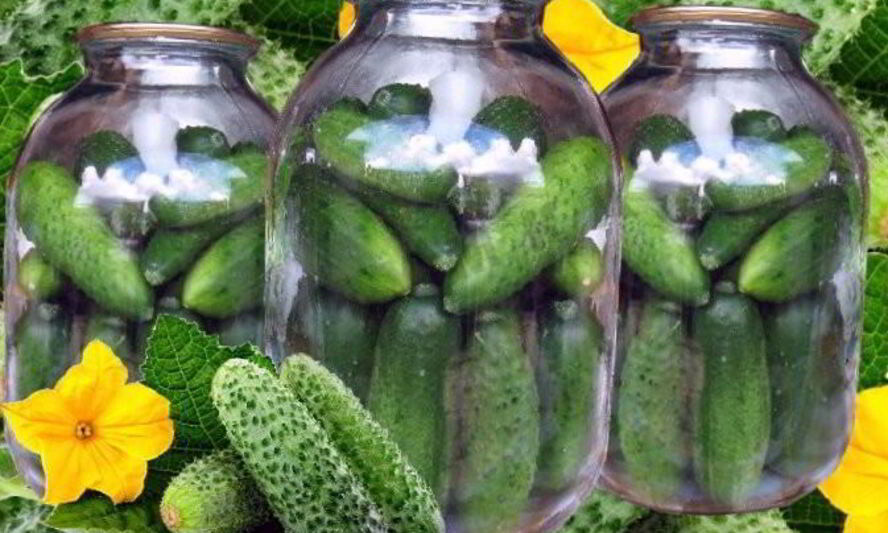 СВЕЖИЕ ОВОЩИ ЗИМОЙ. ПОПРОБУЙТЕ.