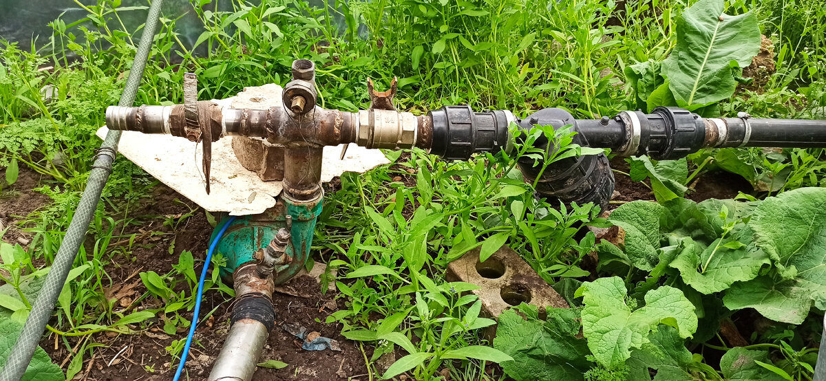 Виновник торжества