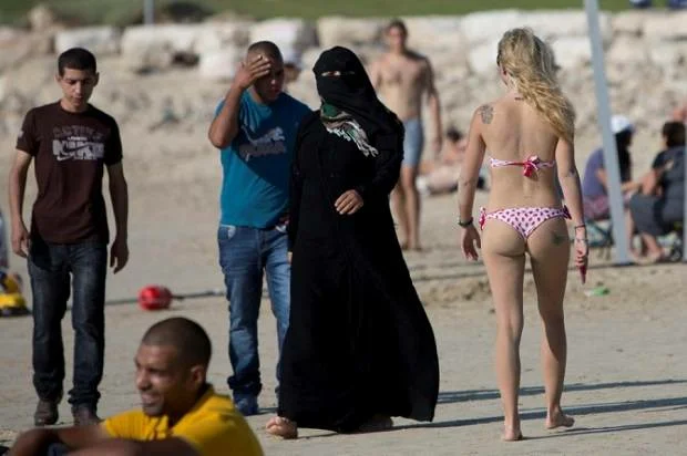 Фото взято из Я.картинок